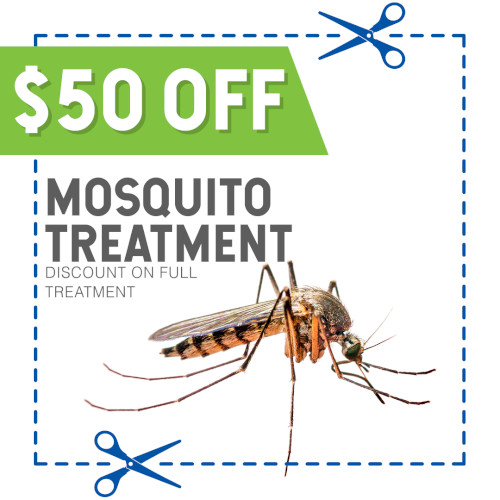 Mosquito Coupon