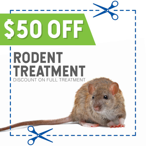 Rodent Coupon